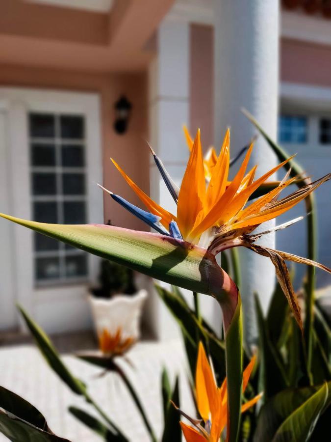 Villa Shardana B&B Sesimbra Luaran gambar