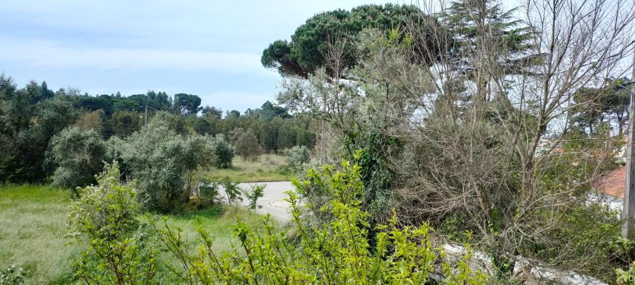 Villa Shardana B&B Sesimbra Luaran gambar